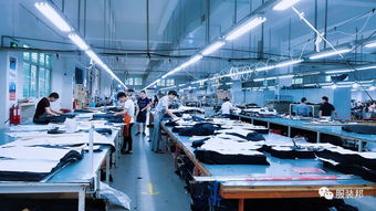 服裝工廠 質(zhì)量出問(wèn)題就找品質(zhì)部 這鍋他們不背